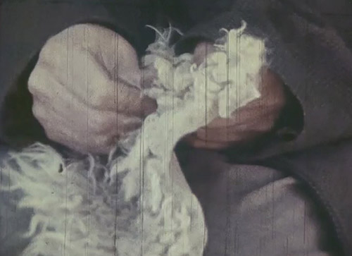 2026 UCLA Film - Abandoned Heights