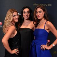 on the red carpet Farhang s 8th Annual Gala 2018026 on the red carpet Farhang s 8th Annual Gala 2018026