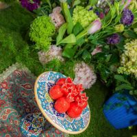 11th annuak celebration of nowruz at ucla 155 11th annuak celebration of nowruz at ucla 155