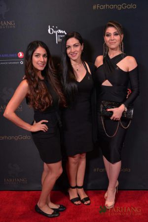 on the red carpet   Farhang s 8th Annual Gala 2018187