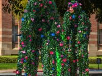 2022 Nowruz Celeb at UCLA260