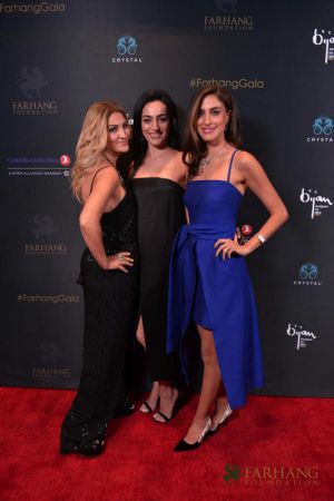 on the red carpet   Farhang s 8th Annual Gala 2018239