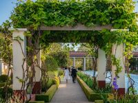 113The Mystics    Getty Persia After Hours .jpeg