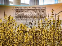 Nowruz Concert Unity For Freedom 107