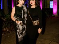 2023 Farhang Film Festival Awards   After Party   048