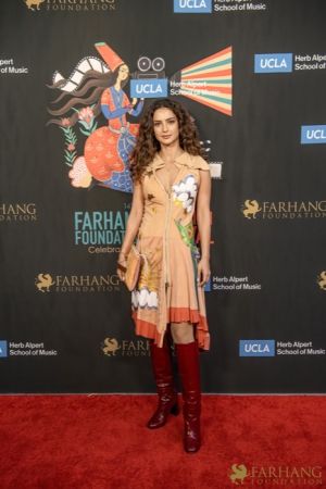 On The Red Carpet at the 2023 Farhang Film Festival Awards 037