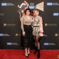 On The Red Carpet at the 2023 Farhang Film Festival Awards 053