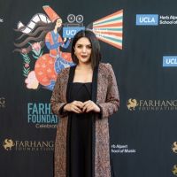 On The Red Carpet at the 2023 Farhang Film Festival Awards 125