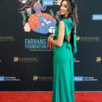On The Red Carpet at the 2023 Farhang Film Festival Awards 132