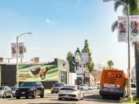 007 Farhang Nowruz Street Banners 2024