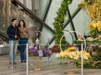 04 Haft Sin Century City 2024