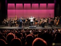 049 Roudaki Orchestra