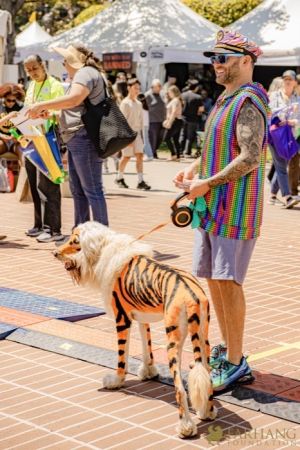 133 Iran Through Books 2024