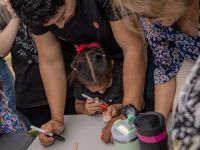 53  FESTIVAL BEVERLY HILLS   2024