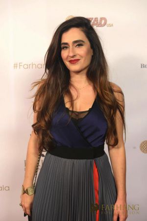 7th annual gala on the red carpet 058