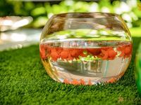 109 Nowruz at Westfield Century City 