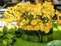 45 Nowruz at Westfield Century City 