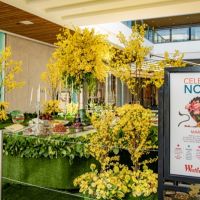 51 Nowruz at Westfield Century City 51 Nowruz at Westfield Century City