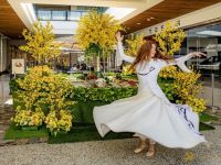 78 Nowruz at Westfield Century City 
