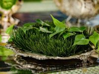 79 Nowruz at Westfield Century City 