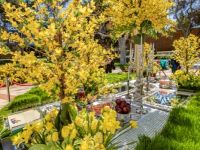 187  15th Annual Celebration of Nowruz at UCLA