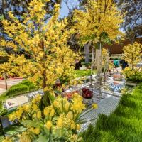 187  15th Annual Celebration of Nowruz at UCLA