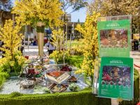 188  15th Annual Celebration of Nowruz at UCLA