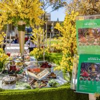 188  15th Annual Celebration of Nowruz at UCLA