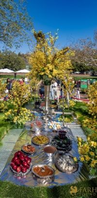 206  15th Annual Celebration of Nowruz at UCLA