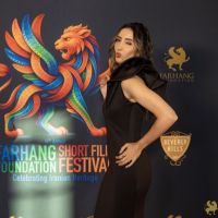 29 Red Carpet Arrivals   2026 Farhang Film Festival Awards 