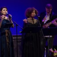 81 Voices Unveiled SF