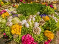 9th annual celebration of nowruz in los angeles 019