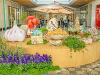 11 Grande Haft Sin 2026 Westfield Century City