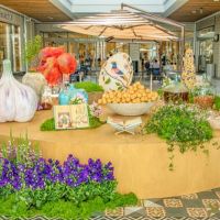 11 Grande Haft Sin 2026 Westfield Century City