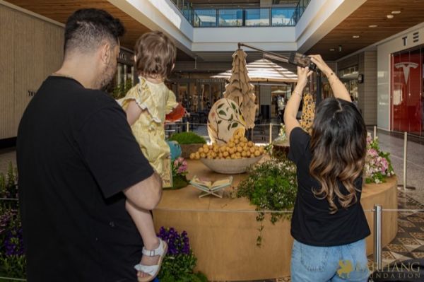 14 Grande Haft Sin 2026 Westfield Century City