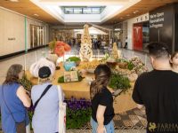 15 Grande Haft Sin 2026 Westfield Century City