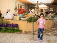 17 Grande Haft Sin 2026 Westfield Century City