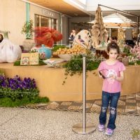 17 Grande Haft Sin 2026 Westfield Century City