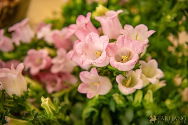 19 Grande Haft Sin 2026 Westfield Century City