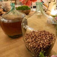 20 Grande Haft Sin 2026 Westfield Century City