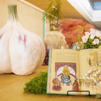 25 Grande Haft Sin 2026 Westfield Century City