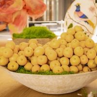 27 Grande Haft Sin 2026 Westfield Century City