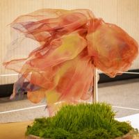 28 Grande Haft Sin 2026 Westfield Century City