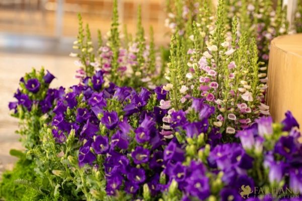 30 Grande Haft Sin 2026 Westfield Century City