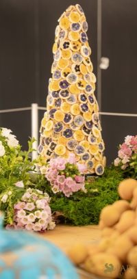 32 Grande Haft Sin 2026 Westfield Century City