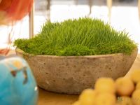 36 Grande Haft Sin 2026 Westfield Century City