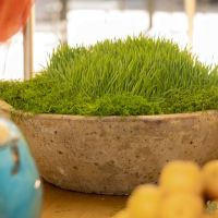 36 Grande Haft Sin 2026 Westfield Century City