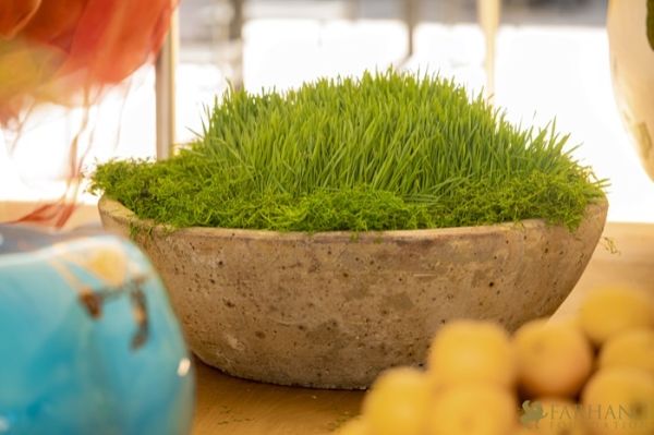 36 Grande Haft Sin 2026 Westfield Century City