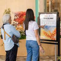 39 Grande Haft Sin 2026 Westfield Century City