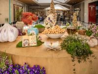 42 Grande Haft Sin 2026 Westfield Century City